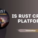 Is Rust Cross Platform In 2024