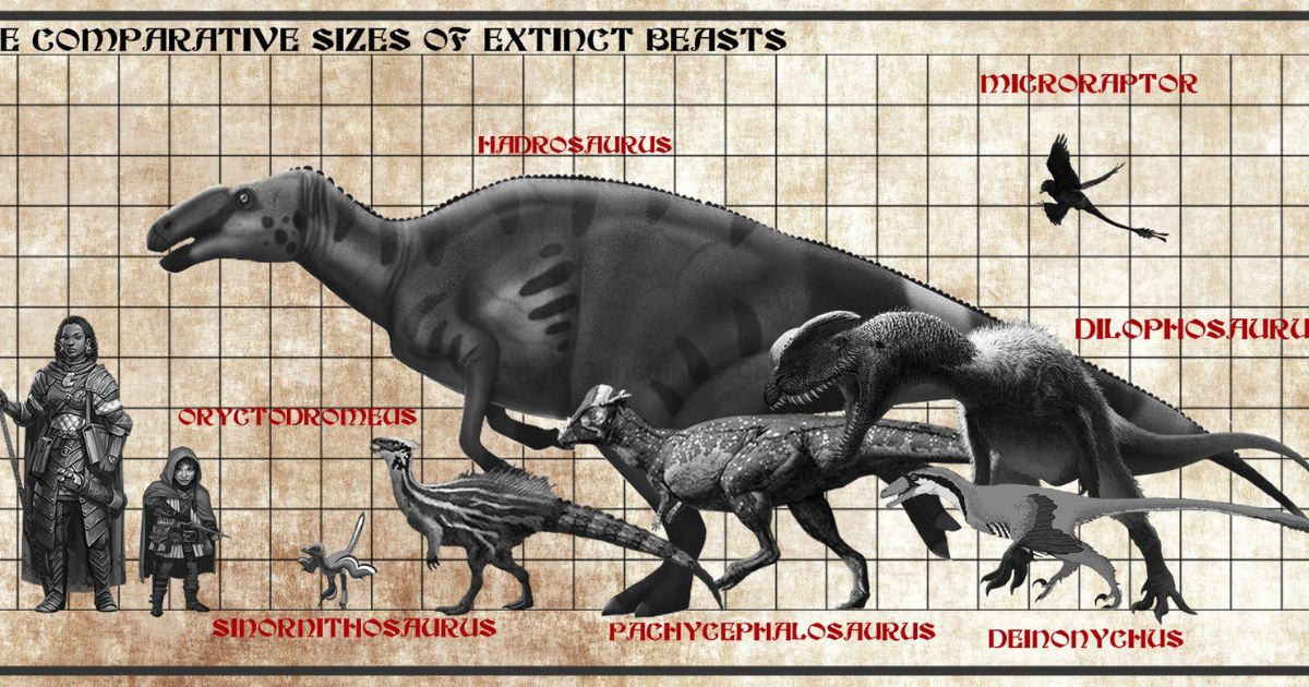 Dnd Size Chart: A Game-Changer for Your Adventures